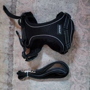 Small cat harness with matching leash NWOT